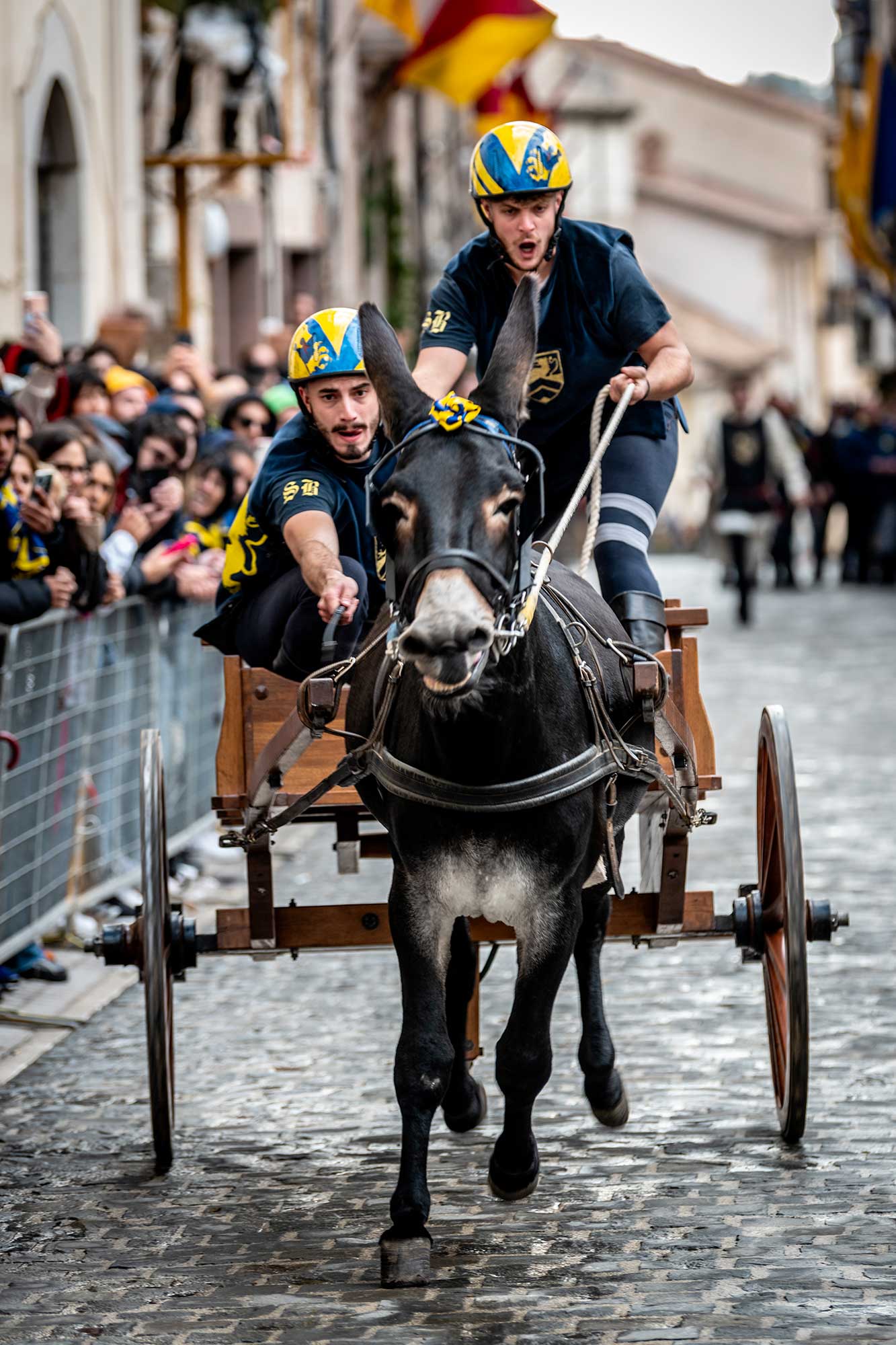 Il carretto gialloblù
